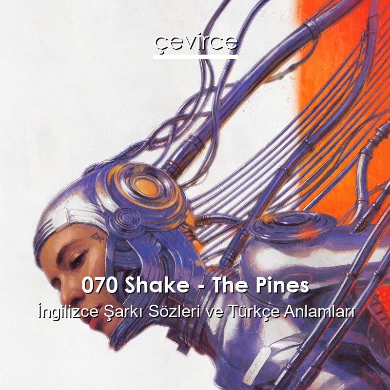 070 Shake – The Pines İngilizce Şarkı Sözleri Türkçe Anlamları
