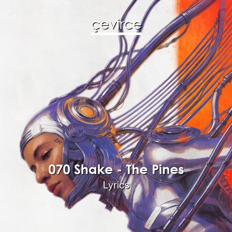 070 Shake – The Pines Lyrics