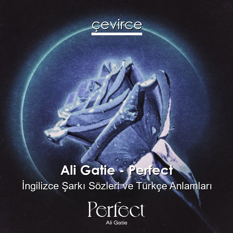 Ali Gatie – Perfect İngilizce Şarkı Sözleri Türkçe Anlamları