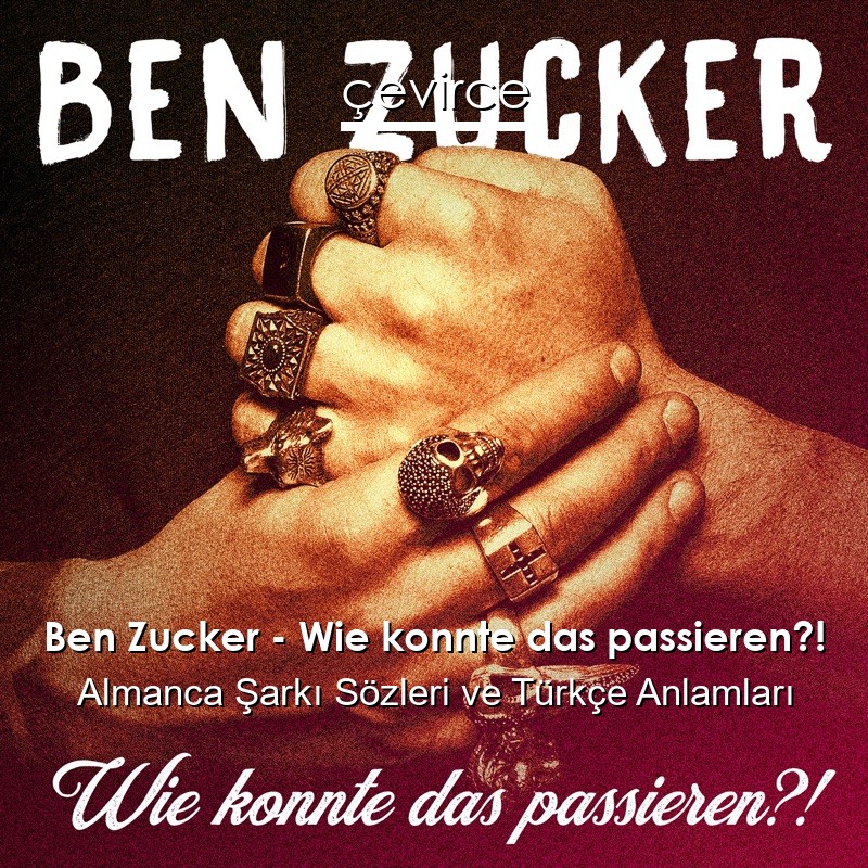 Ben Zucker – Wie konnte das passieren?! Almanca Şarkı Sözleri Türkçe Anlamları