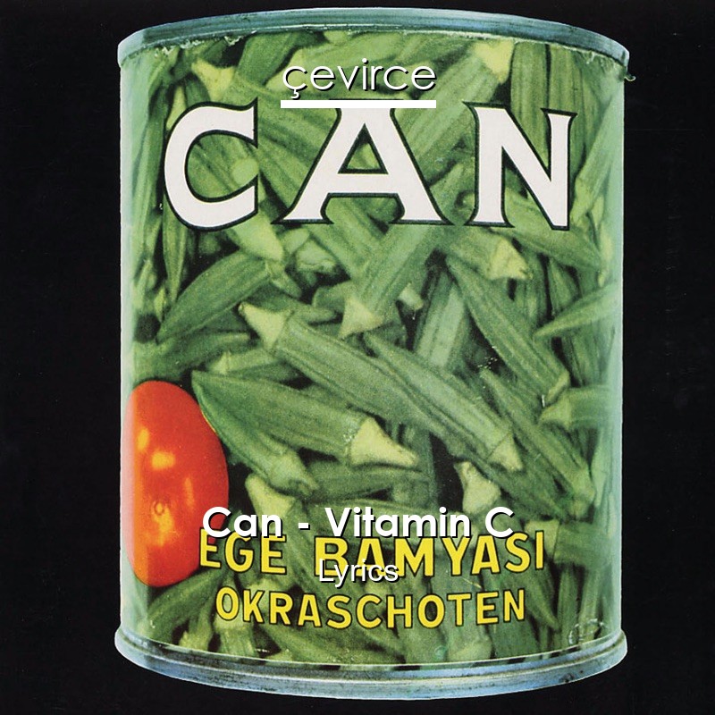 Can – Vitamin C Lyrics