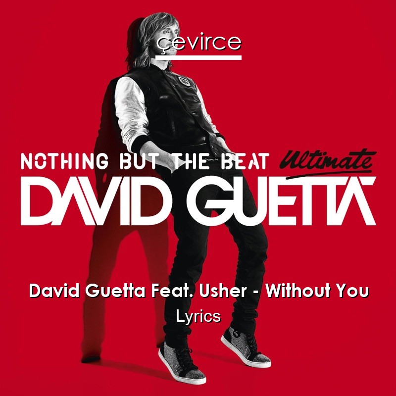 David Guetta Feat. Usher – Without You Lyrics