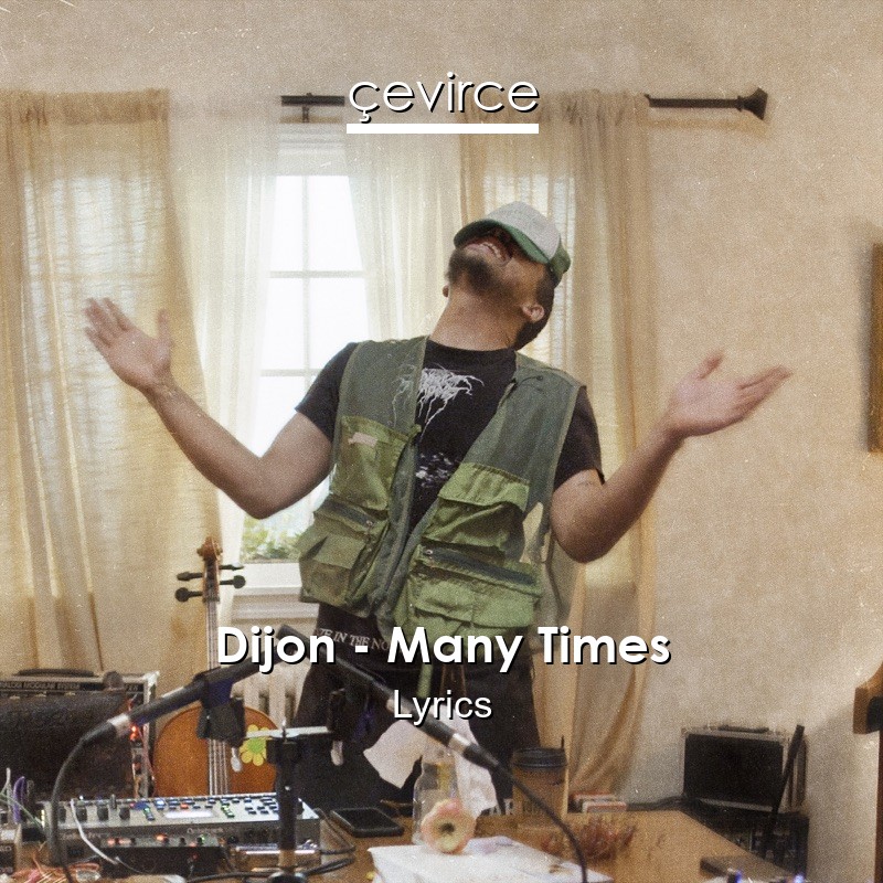 Dijon – Many Times Lyrics