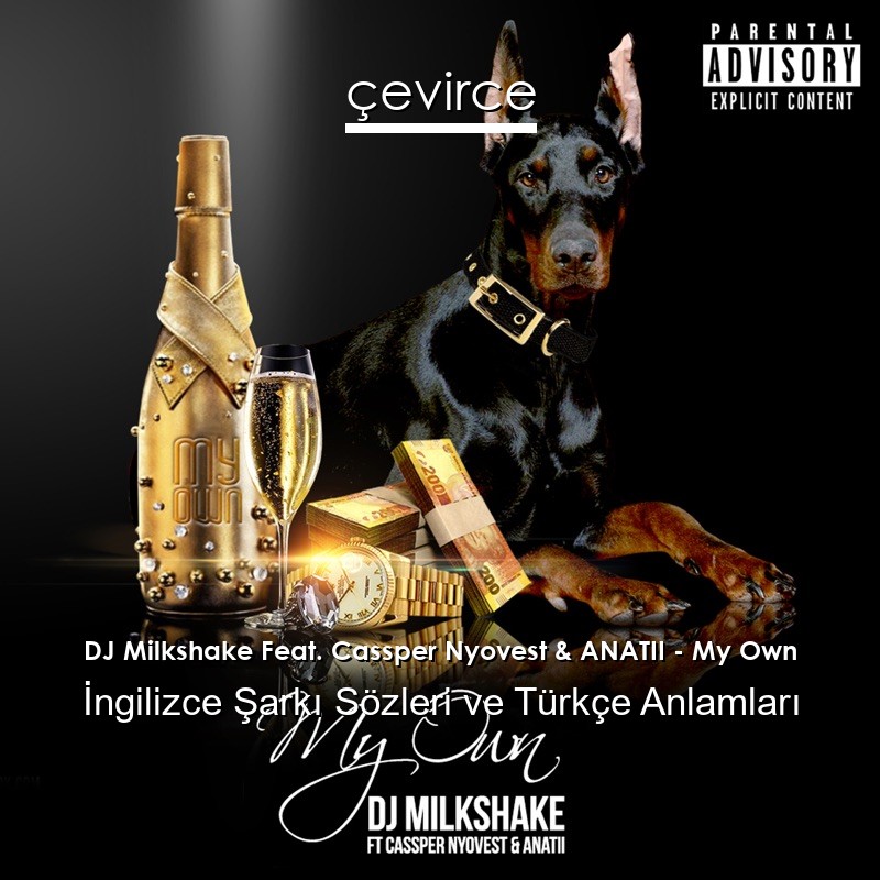 DJ Milkshake Feat. Cassper Nyovest & ANATII – My Own İngilizce Şarkı Sözleri Türkçe Anlamları