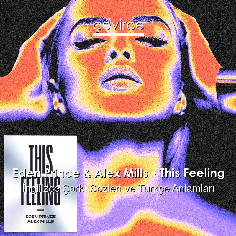 Eden Prince & Alex Mills – This Feeling İngilizce Şarkı Sözleri Türkçe Anlamları