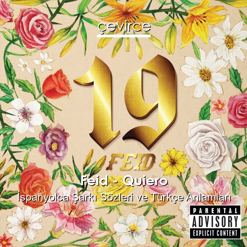 Feid – Quiero İspanyolca Şarkı Sözleri Türkçe Anlamları