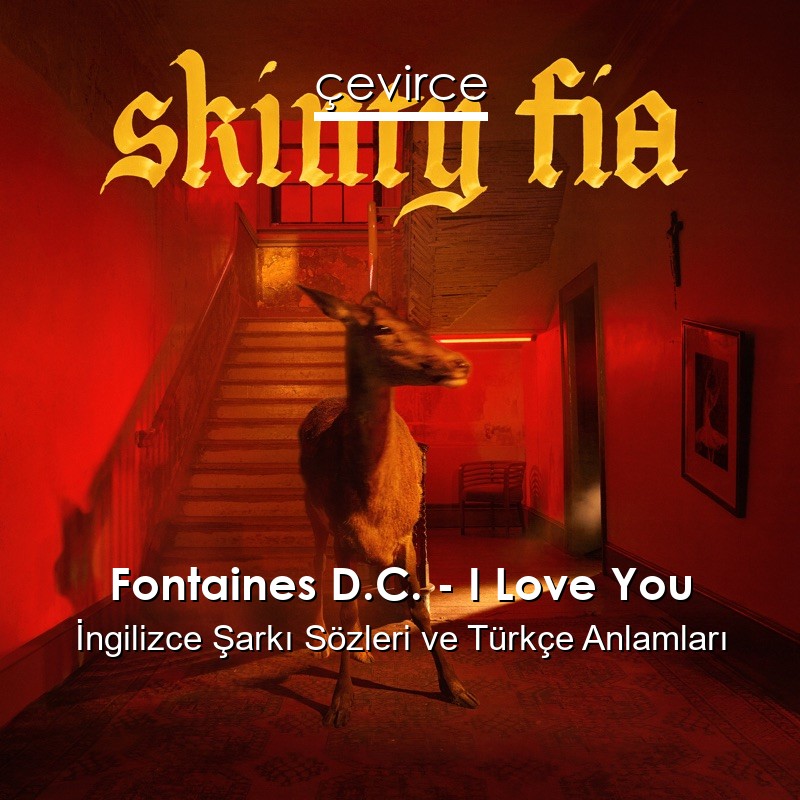 Fontaines D.C. – I Love You İngilizce Şarkı Sözleri Türkçe Anlamları