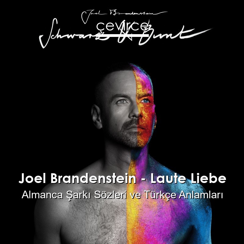 Joel Brandenstein – Laute Liebe Almanca Şarkı Sözleri Türkçe Anlamları