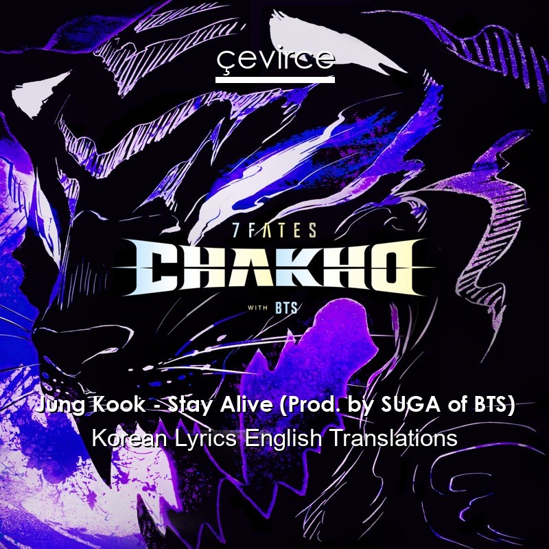 Jung Kook – Stay Alive (Prod. by SUGA of BTS) Korean Lyrics English Translations