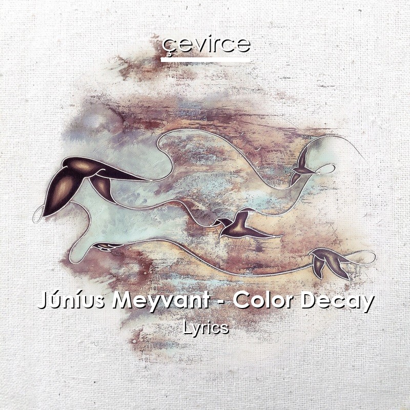 Júníus Meyvant – Color Decay Lyrics