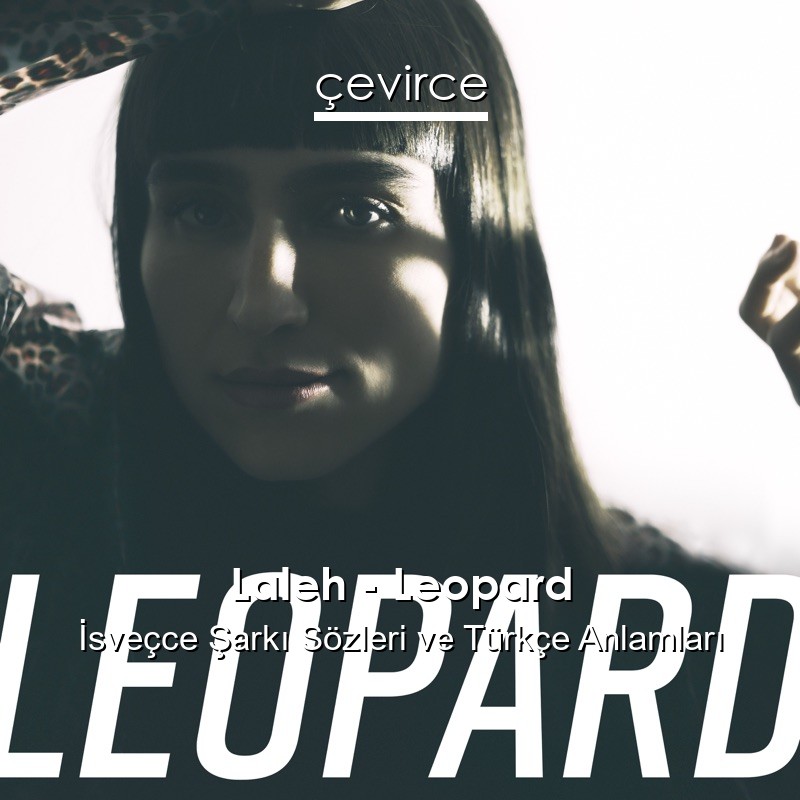 Laleh – Leopard İsveçce Şarkı Sözleri Türkçe Anlamları