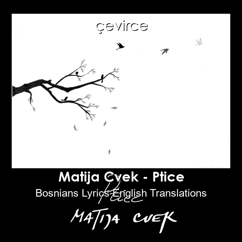 Matija Cvek – Ptice Bosnians Lyrics English Translations