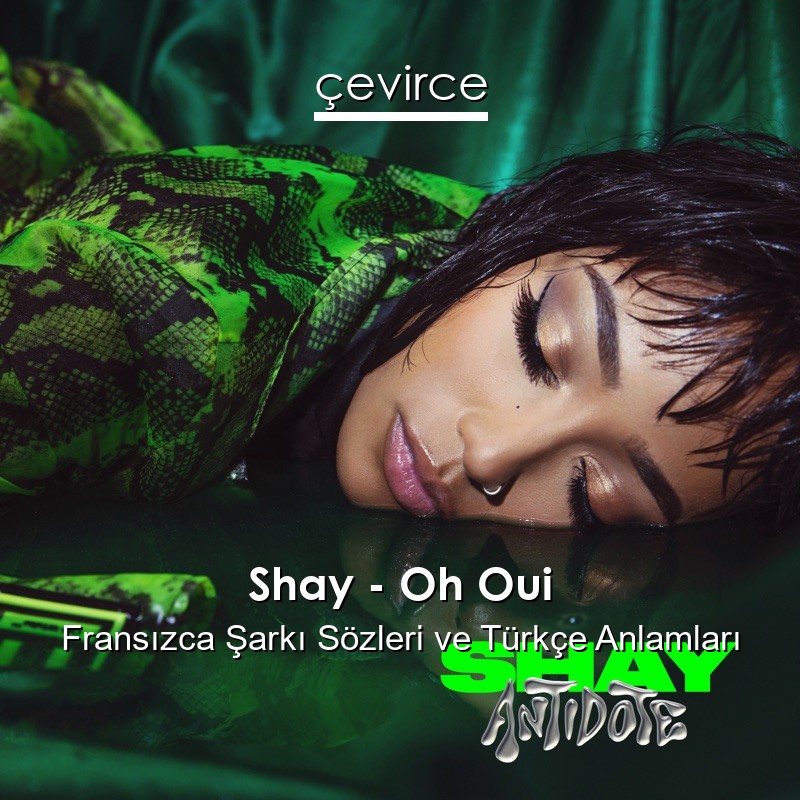 Shay – Oh Oui Fransızca Şarkı Sözleri Türkçe Anlamları