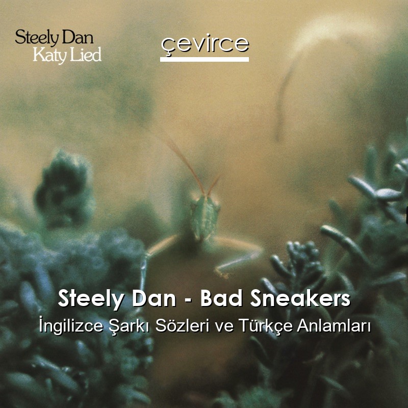 Steely Dan – Bad Sneakers İngilizce Şarkı Sözleri Türkçe Anlamları