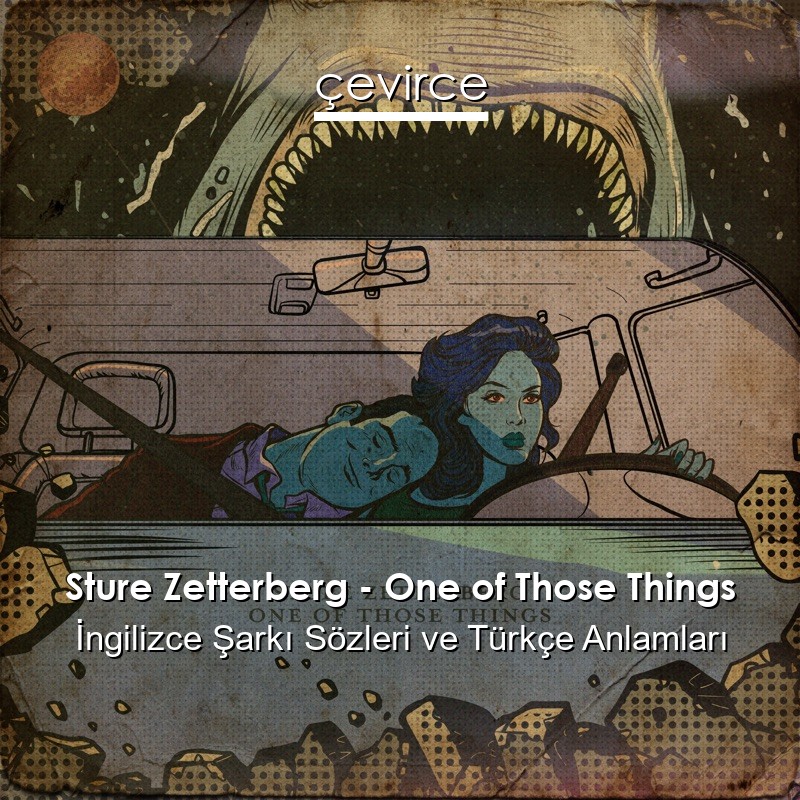 Sture Zetterberg – One of Those Things İngilizce Şarkı Sözleri Türkçe Anlamları