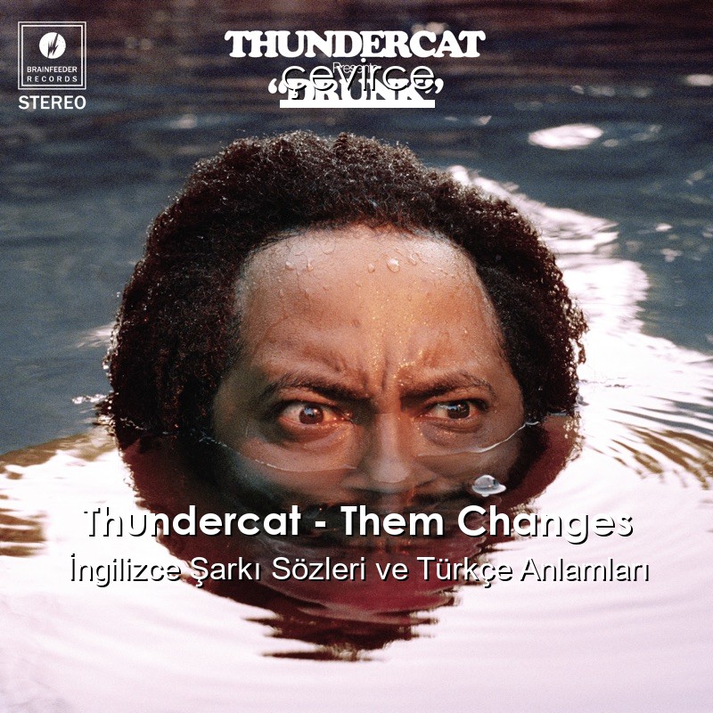 Thundercat – Them Changes İngilizce Şarkı Sözleri Türkçe Anlamları