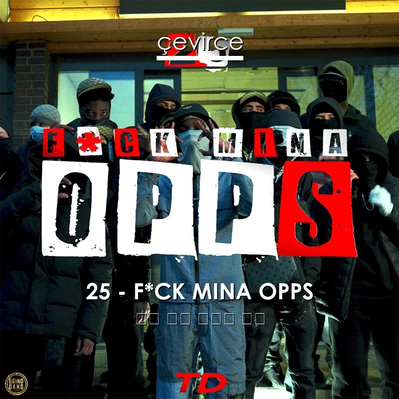 25 – F*CK MINA OPPS 瑞典 歌詞 中國人 翻譯