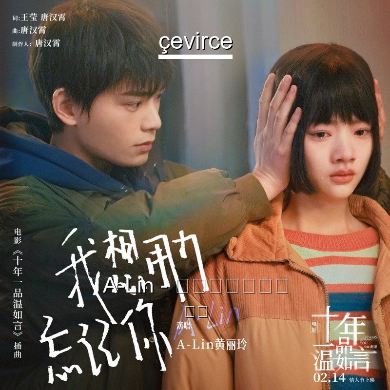 A-Lin – 我想用力忘記你 歌詞