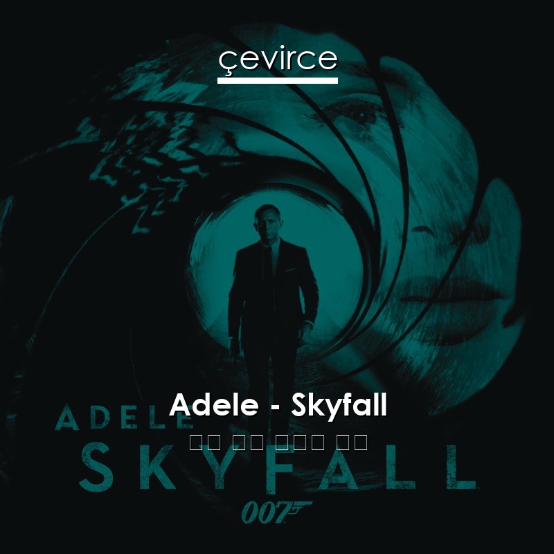Adele – Skyfall 英語 歌詞 中國人 翻譯