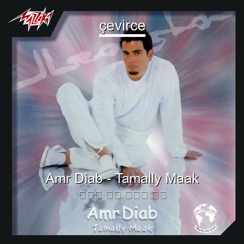 Amr Diab – Tamally Maak 阿拉伯 歌詞 中國人 翻譯