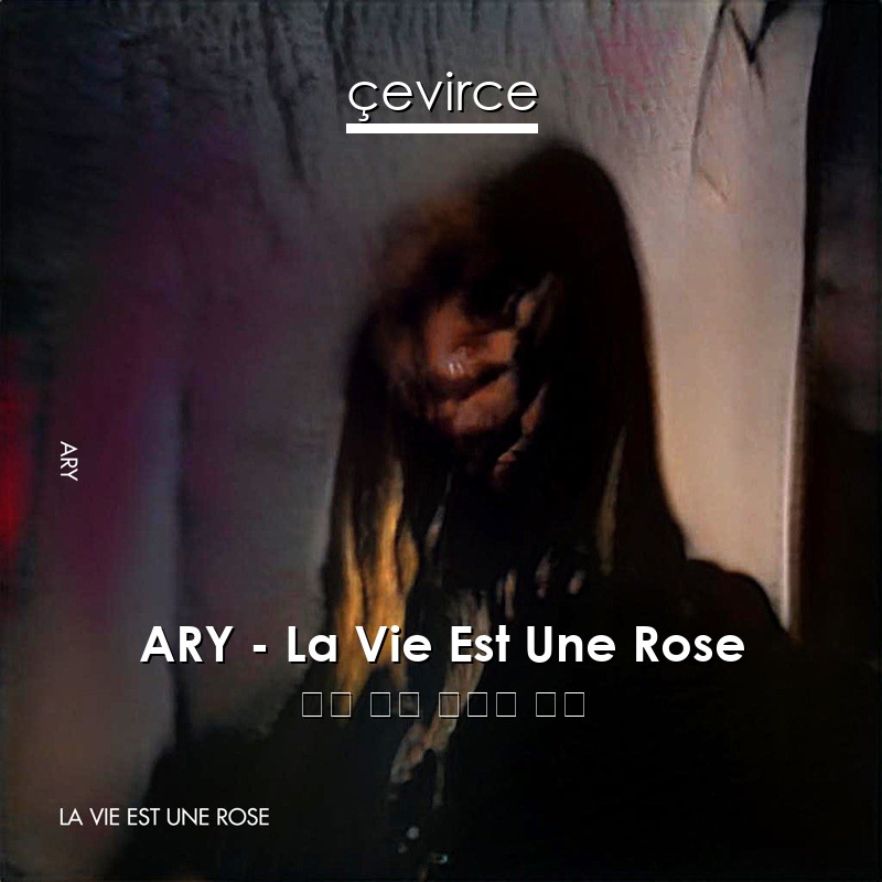 ARY – La Vie Est Une Rose 英語 歌詞 中國人 翻譯
