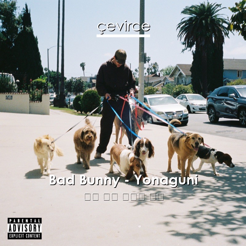Bad Bunny – Yonaguni 英語 歌詞 中國人 翻譯