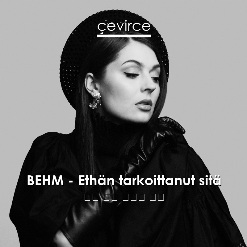 BEHM – Ethän tarkoittanut sitä 芬蘭 歌詞 中國人 翻譯