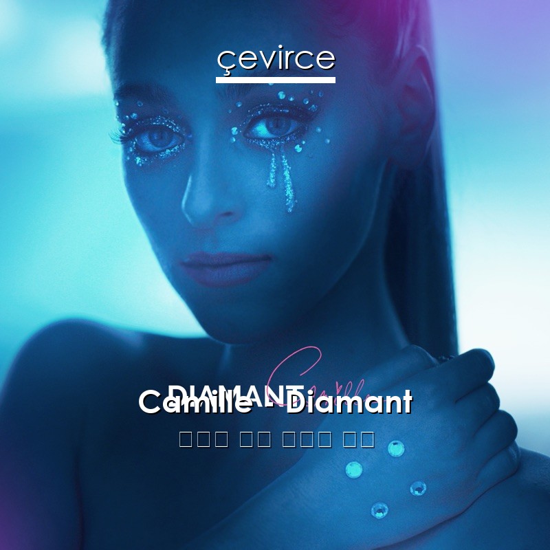 Camille – Diamant 荷蘭語 歌詞 中國人 翻譯