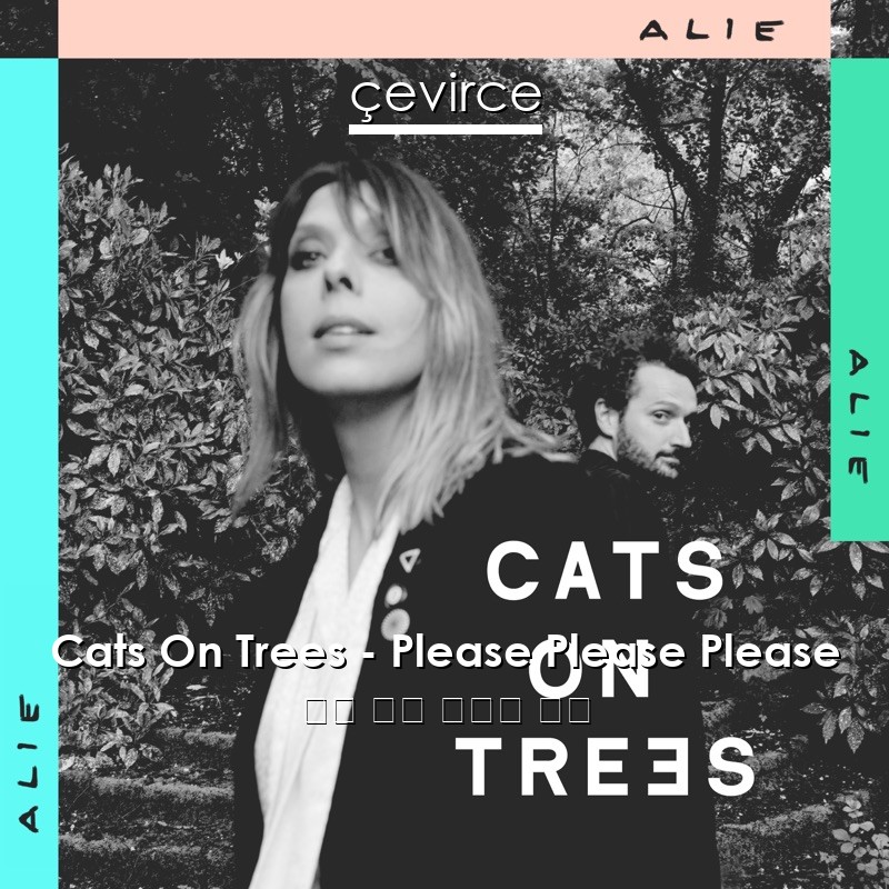 Cats On Trees – Please Please Please 英語 歌詞 中國人 翻譯