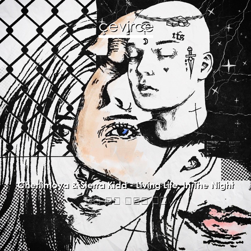 Cheriimoya & Sierra Kidd – Living Life, In The Night 英語 歌詞 中國人 翻譯