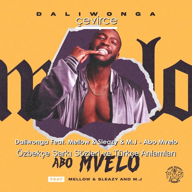 Daliwonga Feat. Mellow & Sleazy & M.J – Abo Mvelo Özbekçe Şarkı Sözleri Türkçe Anlamları