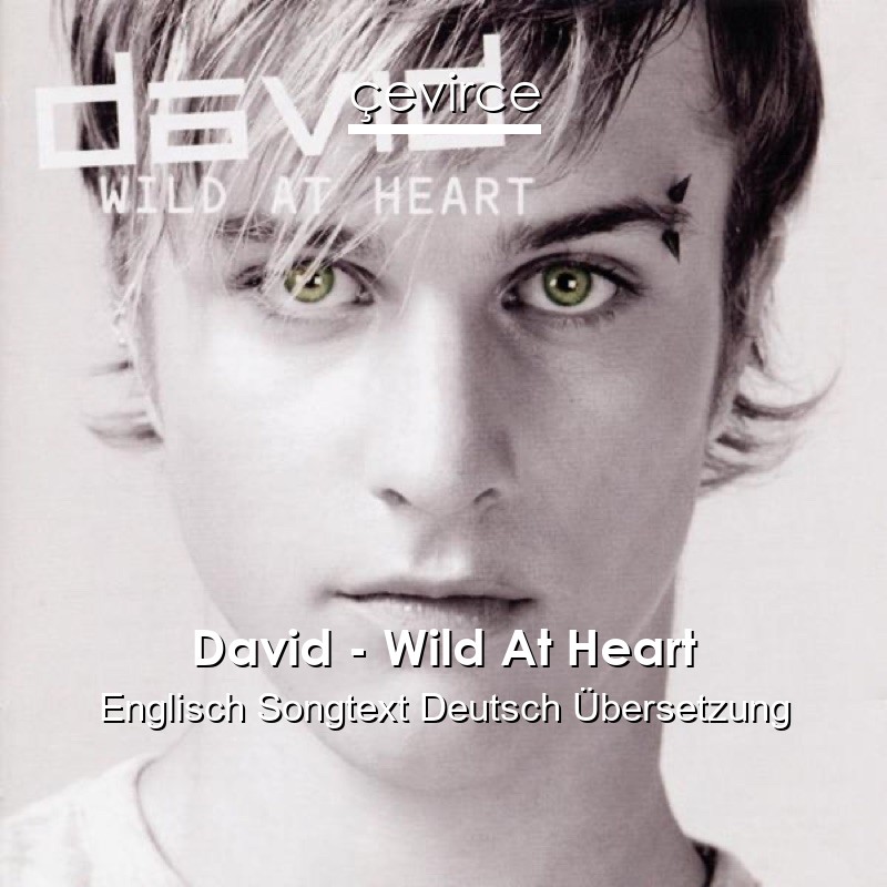 David – Wild At Heart Englisch Songtext Deutsch Übersetzung