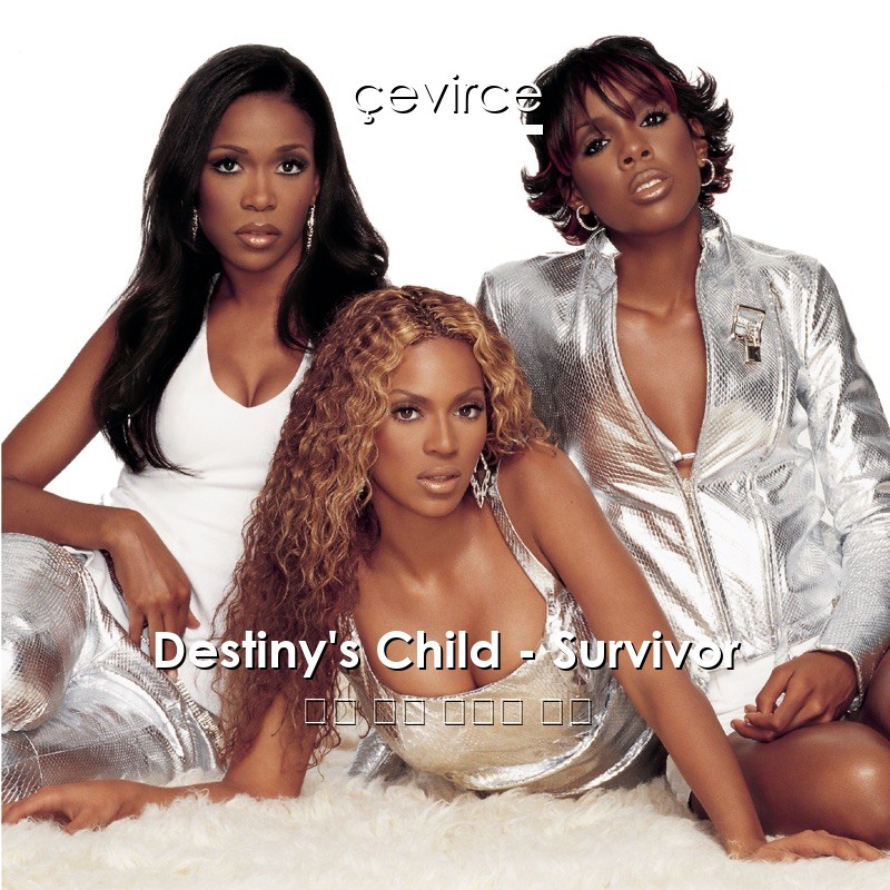 Destiny’s Child – Survivor 英語 歌詞 中國人 翻譯