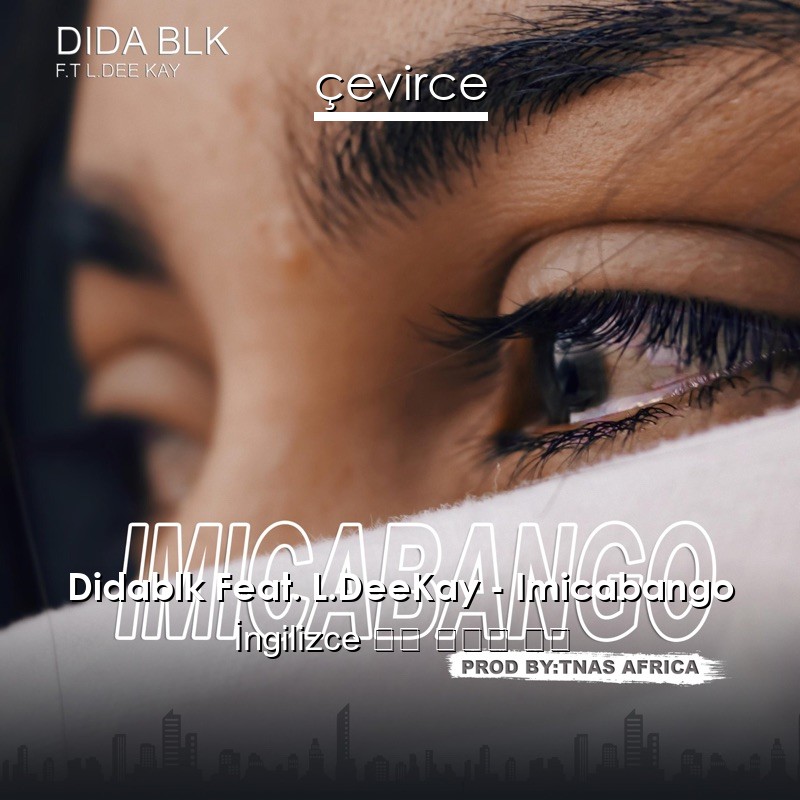 Didablk Feat. L.DeeKay – Imicabango  歌詞 中國人 翻譯