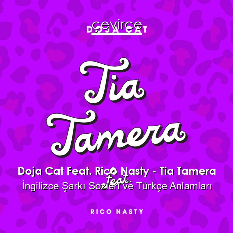 Doja Cat Feat. Rico Nasty – Tia Tamera İngilizce Şarkı Sözleri Türkçe Anlamları