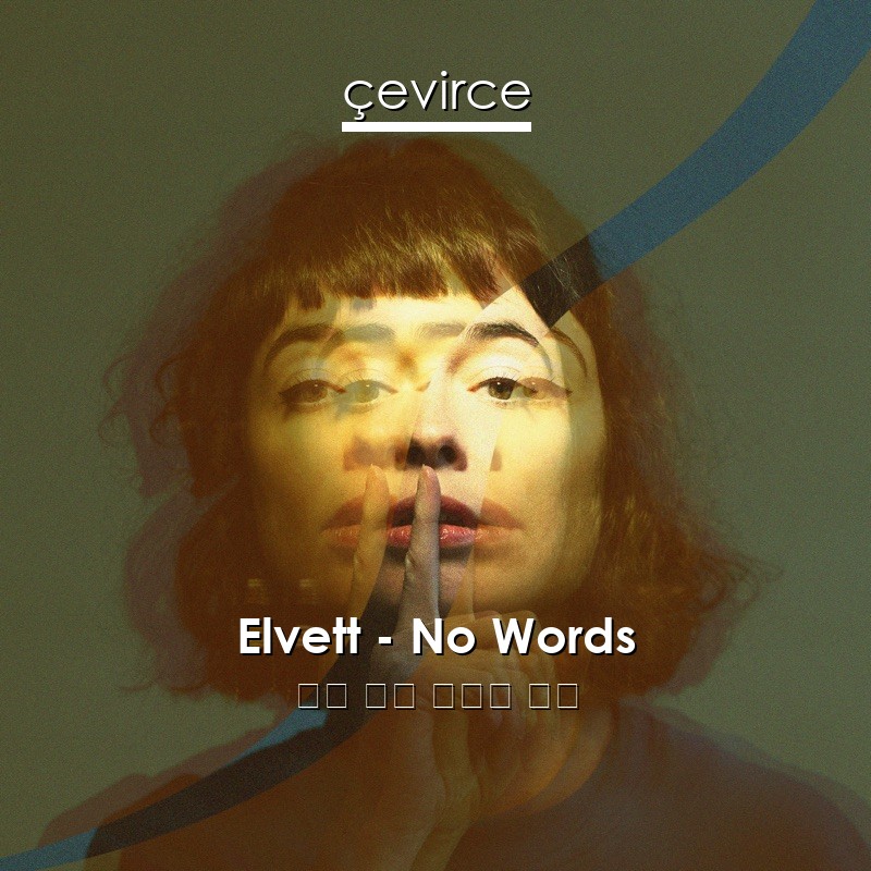 Elvett – No Words 英語 歌詞 中國人 翻譯