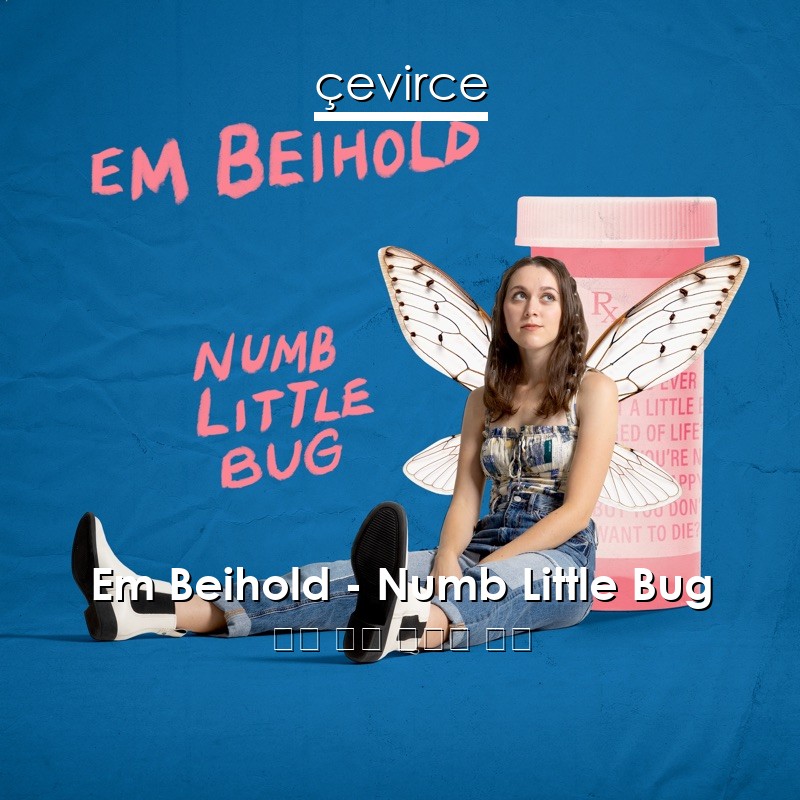 Em Beihold – Numb Little Bug 英語 歌詞 中國人 翻譯