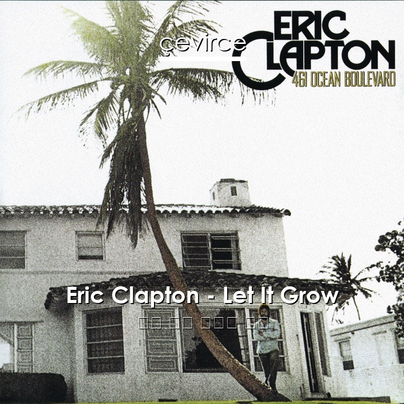 Eric Clapton – Let It Grow 英語 歌詞 中國人 翻譯