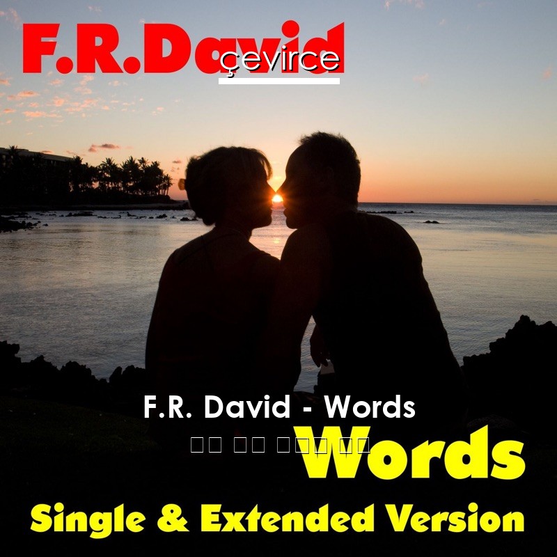 F.R. David – Words 英語 歌詞 中國人 翻譯
