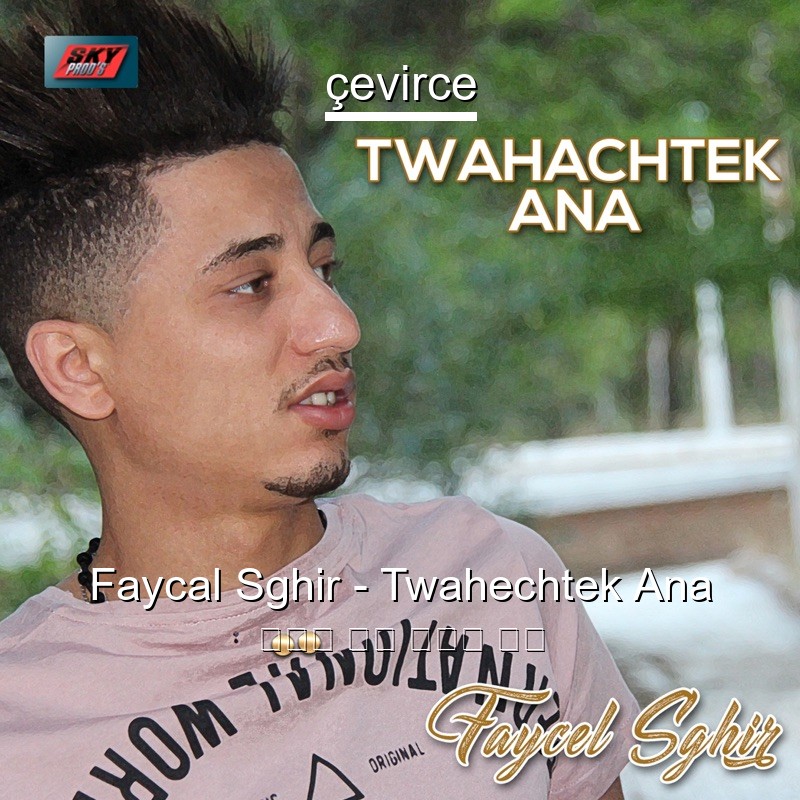 Faycal Sghir – Twahechtek Ana 阿拉伯 歌詞 中國人 翻譯