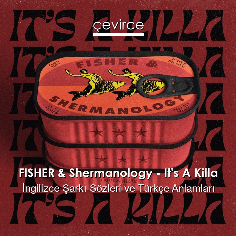 FISHER & Shermanology – It’s A Killa İngilizce Şarkı Sözleri Türkçe Anlamları