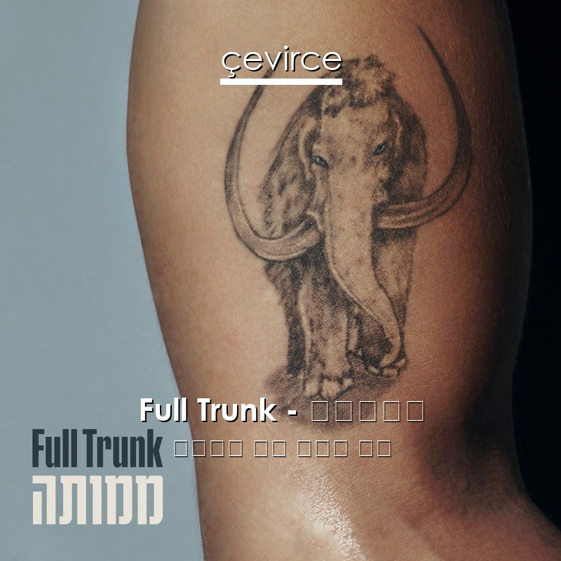 Full Trunk – ממותה 希伯來語 歌詞 中國人 翻譯