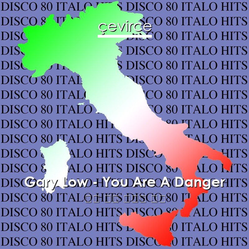 Gary Low – You Are A Danger 英語 歌詞 中國人 翻譯