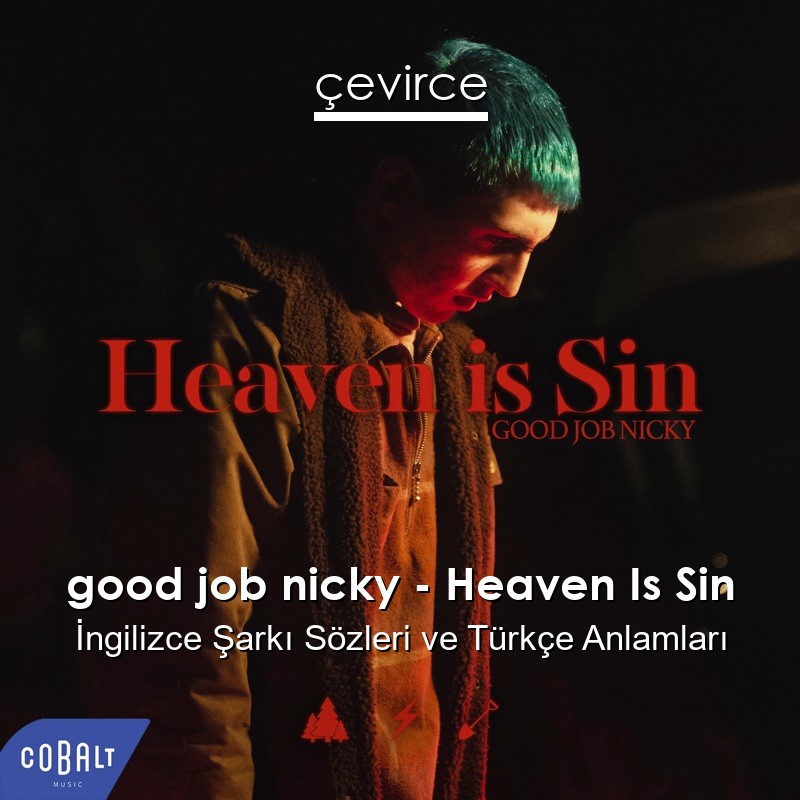 good job nicky – Heaven Is Sin İngilizce Şarkı Sözleri Türkçe Anlamları