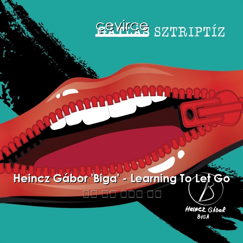 Heincz Gábor ‘Biga’ – Learning To Let Go 英語 歌詞 中國人 翻譯