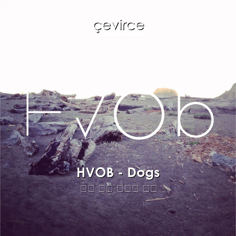 HVOB – Dogs 英語 歌詞 中國人 翻譯
