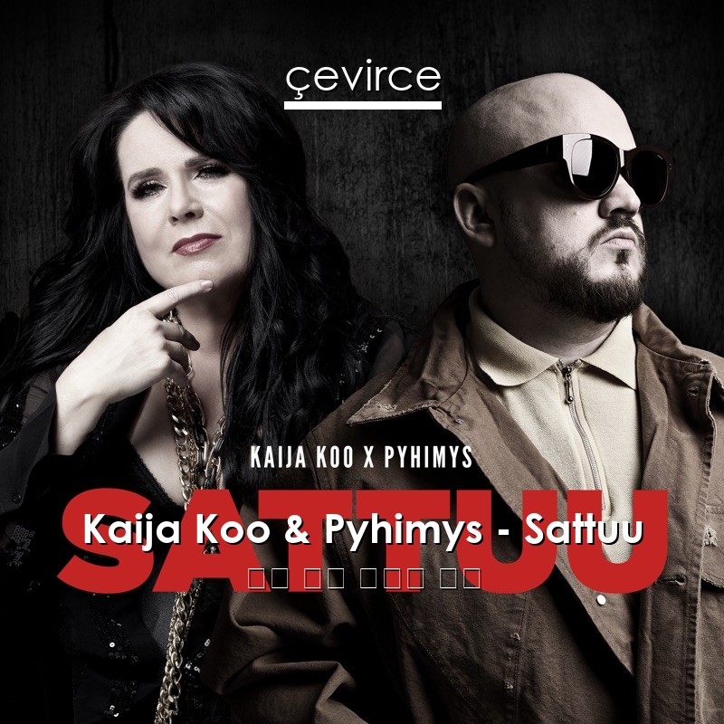 Kaija Koo & Pyhimys – Sattuu 芬蘭 歌詞 中國人 翻譯