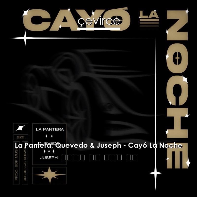 La Pantera, Quevedo & Juseph – Cayó La Noche 西班牙語 歌詞 中國人 翻譯