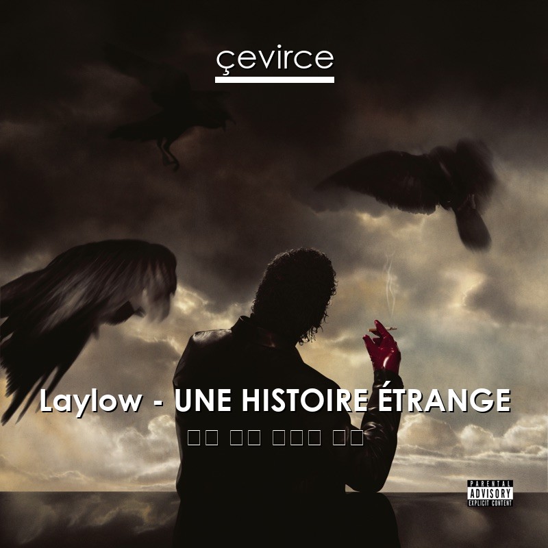 Laylow – UNE HISTOIRE ÉTRANGE 法語 歌詞 中國人 翻譯