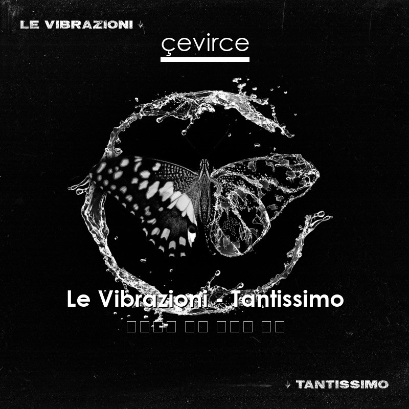 Le Vibrazioni – Tantissimo 意大利語 歌詞 中國人 翻譯